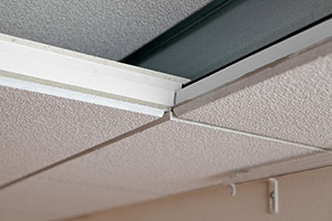Veilig wonen en werken met het 2resist® 60 ceiling system